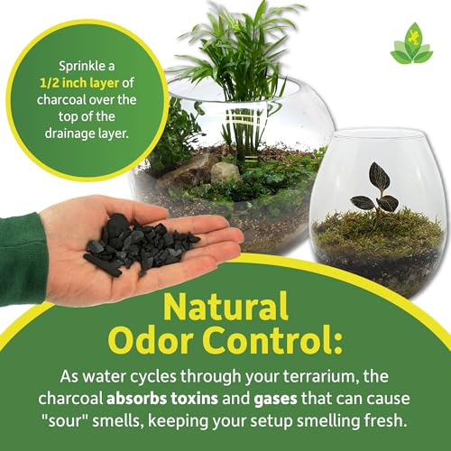 Josh's Frogs Sprig & Stone Horticultural Charcoal (1 Quart) - size: 1 Quart