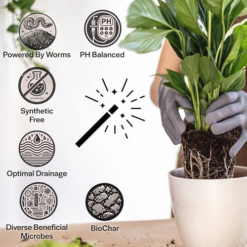 Craft Organic Houseplant Potting Mix, Elite House Plant Soil, Chunky, Well Draining Potting Soil for All Indoor Plants, Tropical Plants & Flowers, Sustainable & Peat Free, Less Prone to Gnats, 8QT - size: 8 quarts