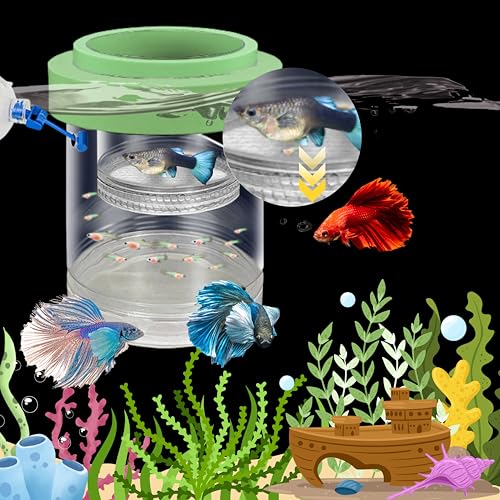 Betta Guppy Breeding Box for Fish Tank and Artificial Plants, Floating Guppy Breeding Box with Suction Cups, Acrylic Breeder Isolation Incubator for Aquarium Tank, Hatchery Breeder Chamber (Green, M)