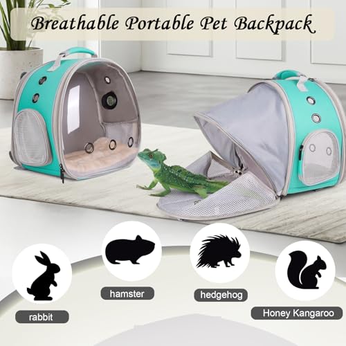 Bearded Dragon Travel Backpack Carrier with Reptile Thermometer and Humidity Gauge Lizard Travel Cage Space Capsule Clear Bubble Window Astronaut Reptile Bag for Ball Python (Green, BE Backpack) - color: Green, size: 11.8"L x 7.2"W x 11.8"H