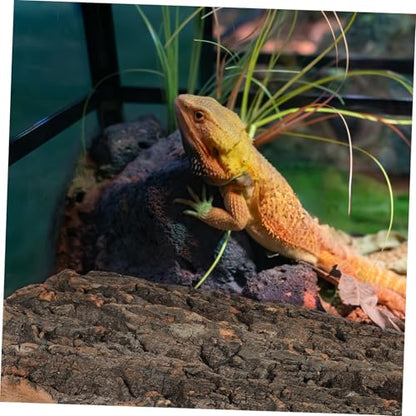 2 Pcs Natural Cork Bark Aquarium Decor for Fish Tank Background Reptile Climbing Surface Bearded Dragon Terrarium Ornament Tree Bark for Fish Garden Landscaping