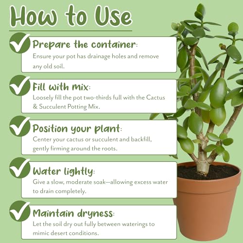 Soil Sunrise Cactus and Succulent Potting Mix (8 Quarts) Special Blend-Fast Draining and Desert-Style Gritty