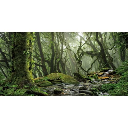 AWERT Foggy Forest Terrarium Background Stream Green Huge Tree Reptile Habitat Background Tropical Rainforest Aquarium Background 30x12 inches Durable Polyester Background - size: 30x12in/75x30cm