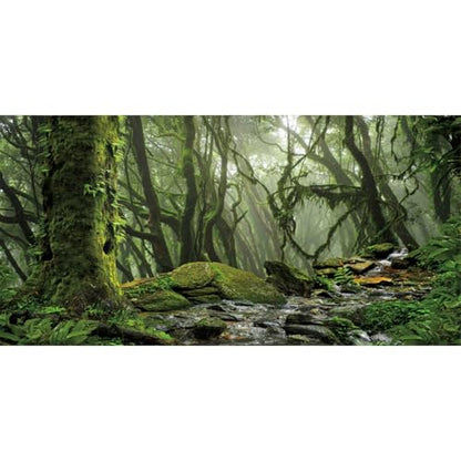 AWERT Tropical Forest Terrarium Background Stream Green Huge Tree Reptile Habitat Background Foggy Rainforest Aquarium Background 48x18 inches Durable Polyester Background - size: 48 x 18 inches