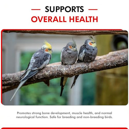Morning Bird Calcium Plus Liquid for Birds – Calcium Supplement with Vitamins and Minerals for Strong Eggshells, Healthy Bones - Support Growth, Breeding, and Wellness for All Birds 2 Fl Oz - size: 2 Fl Oz