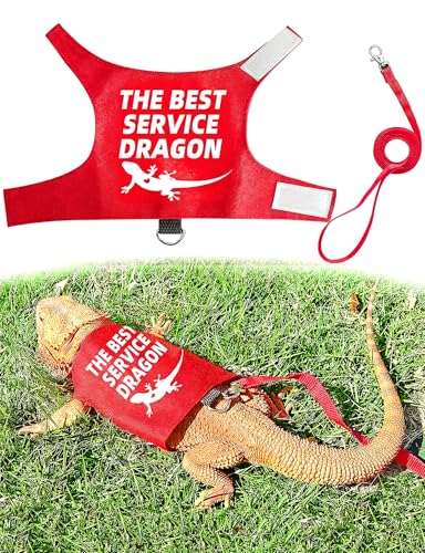 Bearded Dragon Harness and Leash Set, Escape Proof Adjustable Lizard Reptile Vest Clothes with 5.5 ft Leash for Outdoor Walking, Best Service Dragon Design