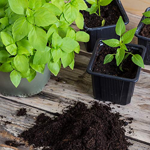 Minute Soil - Compressed Coco Coir Fiber Grow Medium 80mm x 15mm - 14 oz (1 Pack)
