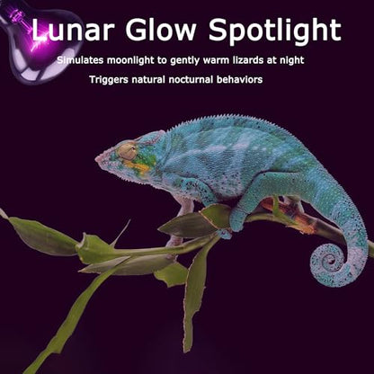 60W Reptile Night Light Bulb, Purple UVA Heat Lamp with Simulated Moonlight Effect, Night Basking Lamp for Bearded Dragons, Lizards, Snakes & Amphibians, Terrarium & Aquarium Use, 2 Pack - color: Moonlight Heat Lamp, size: 60W - Gen2 - R63