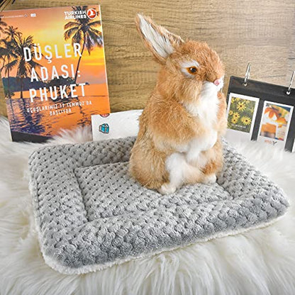 Small Animal Bed Mat, Soft & Warm, Suitable for Guinea Pig, Hamster, Rabbit, Rat and Bearded Dragon (XX-Large(19.7''x15.7''), Mesh Grey) - color: Mesh Grey, size: XX-Large(19.7''x15.7'')
