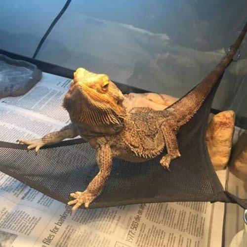 Lizard Hammock | Breathable Mesh Snake Bed | Reptile Hammock Bearded Dragon - for Cage Enclosure Terrarium Habitat Lizard Enrichment Chameleon Frog Tortoise - color: Black