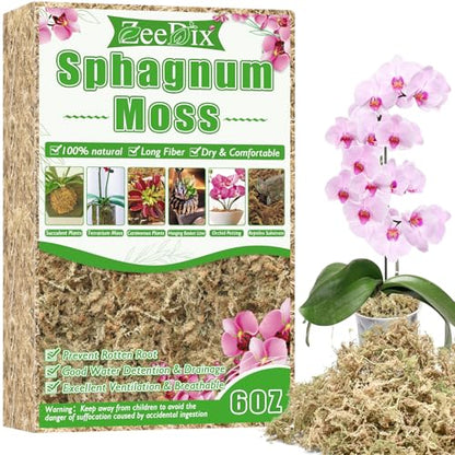 ZeeDix 6 oz Sphagnum Moss for Plants Indoor, Long Fiber Natural Orchid Moss for Repotting Carnivorous Plants, Succulents, Monstera, Flower & Reptile Terrariums Habitats (Expands to 8 qt) - size: 6 ounces