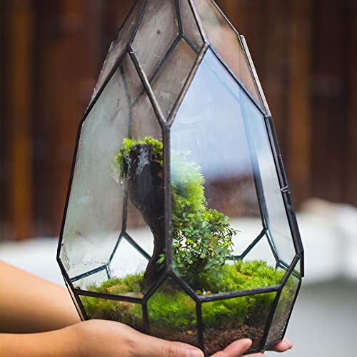 NCYP Black Glass Geometric Terrarium Container with Door - Balcony Planter DIY Display Flower Pot for Succulent Fern - Tabletop Miniature Botanical Fairy Garden (No Plants) 12.2" Height, 7.1" Width