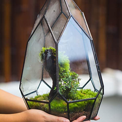 NCYP Black Glass Geometric Terrarium Container with Door - Balcony Planter DIY Display Flower Pot for Succulent Fern - Tabletop Miniature Botanical Fairy Garden (No Plants) 12.2" Height, 7.1" Width