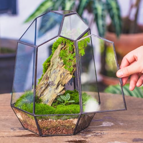 NCYP Close Geometric Glass Terrarium with Door - 9.8 inches Tall Irregular Planter for Succulents, Small Cacti, Modern Home Garden Tabletop Decor, Black, Handmade (Plants NOT Included) - size: 7.9x6.9x9.8inches