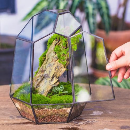 NCYP Close Geometric Glass Terrarium with Door - 9.8 inches Tall Irregular Planter for Succulents, Small Cacti, Modern Home Garden Tabletop Decor, Black, Handmade (Plants NOT Included) - size: 7.9x6.9x9.8inches