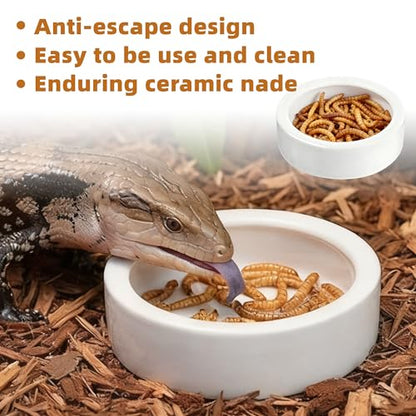 Escape-Proof Reptile Food Dish Bowl, Ceramic Reptile Feeding Dish & Small Animal Bowl for Lizard, Leopard Gecko, Hermit Crab, Hamster, Anti Escape Live Food & Water Dish (3x1in) - size: Medium-1Pack