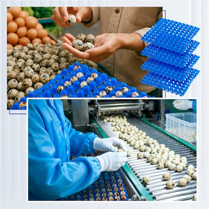 Teenyyou 10 Pcs 90 Egg Plastic Trays Quail Egg Flats Holder for Quail Pigeon Dove Bird Flat Carton (Blue) - color: Blue