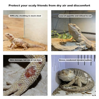 J&A Automatic Reptile Fogger Humidifier Temp Humidity Controller Terrarium | New-Gen Reptile Mister with Programmable Timer & Thermo-Hygrometer for Lizard, Snake, Jumping Spider Tanks, Grey & Black