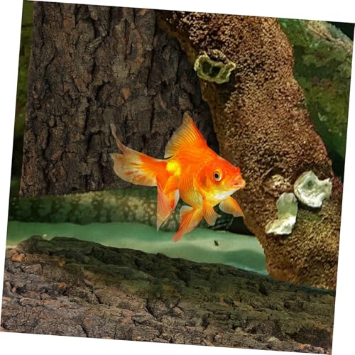 2 Pcs Natural Cork Bark Aquarium Decor for Fish Tank Background Reptile Climbing Surface Bearded Dragon Terrarium Ornament Tree Bark for Fish Garden Landscaping