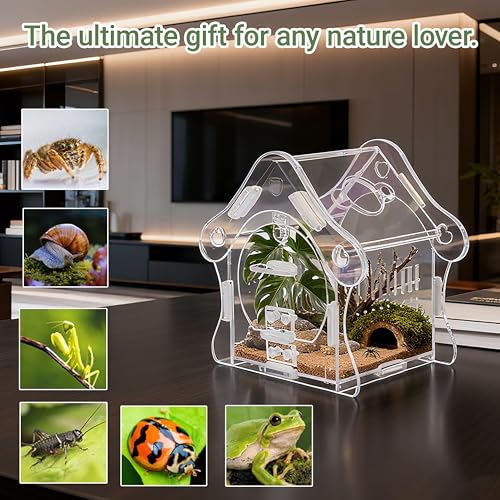 Mushroom Jumping Spider Enclosure Kit, 3mm Acrylic Habitat Tank with Magnetic Feeding Door & Lock, No-Tool Assembly for Jumping Spiders, Mantis, Small Tarantulas