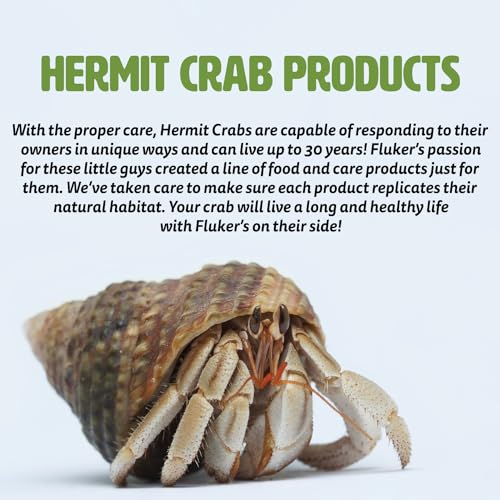 Fluker's Hermit Crab Sand Scooper
