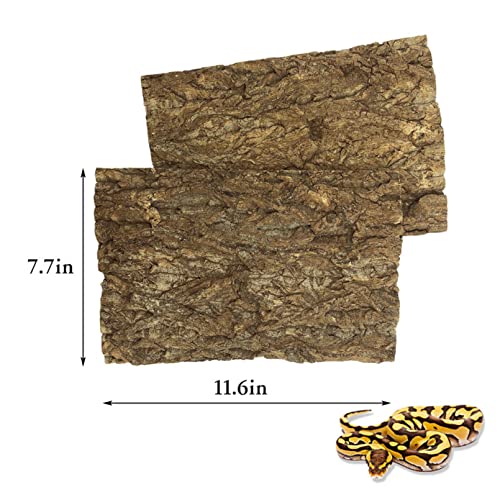 BNOSDM 2PCS Cork Bark Background,11.8" x 7.9" Natural Reptile Terrarium Backdrop, Lizard Climbing Wall Decor for Bearded Dragon Leopard Gecko Snake Chameleon