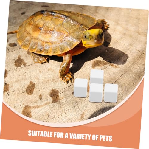 12pcs Crab Mineral Block Natural Reptile Calcium Blocks Grinding Aid for Reptiles Tortoises Lizards and Frogs Chemical- Healthy Habitat Accessories