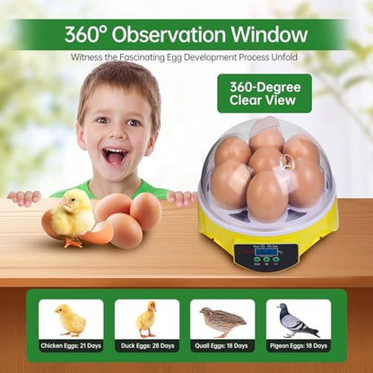 7-Egg Mini Egg Incubator with 360° View, Educational Hatching Kit for Kids, Classrooms & Families, Automatic Temperature Control & Manual Humidity Control, Suitable for Chicken, Duck & Quail Eggs