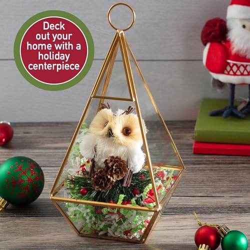 D'Eco Glass Gold Pyramid Centerpiece (5x5x10) - Hanging Planter Terrarium - Spring Home & Wedding Decor - Fill with Succulents, Cacti, Air Plants, Moss, Flowers for Plant Lovers