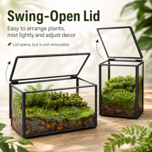 Mini Glass Terrarium Set of 2 with Lid, Tiny Rectangle Glass Succulent Terrarium Containers for Air Plants, Moss & Fairy Garden, Black Framed Tabletop Plant Holder, 4 x 2.8 x 2.4 & 2.8 x 2.4 x 4 in - color: Black