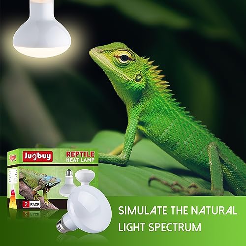 Reptile Heat Lamp Bulb and UVB Reptile Light Bulb 10.0, 100 Watt UVA Daylight Basking Spot Light with 23W UV Spiral Compact Florescent Terrarium Lamp