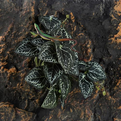 IBWell Fake Reptile Plants for Reptile Terrarium Plants, Reptile Plant Décor, Turtle Tank Plants with Suction Cup