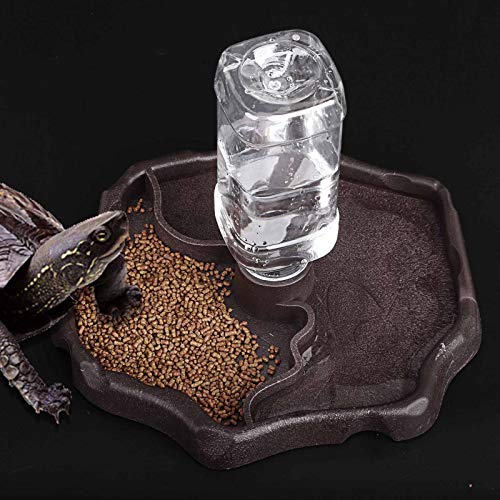 Automatic Reptile Feeder Reptile Food and Water Dish Bowl Bottle Tortoise Turtle Water Dispenser for Bearded Dragon Gecko Lizard (Brown) - color: Brown