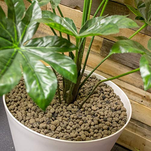 GROW!T GMC10L - 4mm-16mm Clay Pebbles, Brown, (10 Liter Bag) - Made from 100% Natural Clay, Can be used for Drainage, Decoration, Aquaponics, Hydroponics and Other Gardening Essentials - size: 10 liter