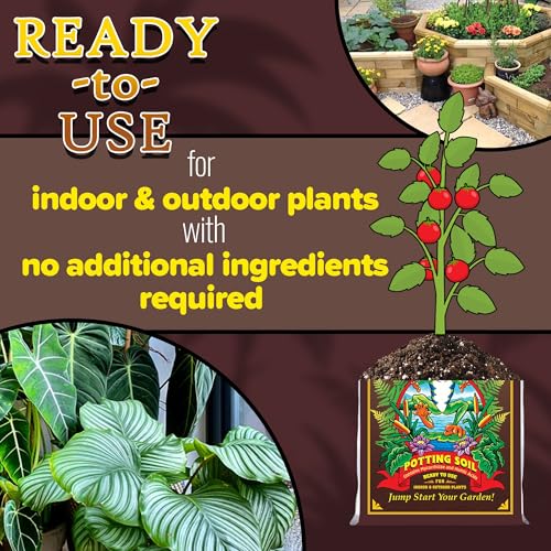 FoxFarm Happy Frog Potting Soil - Ready-to-Use Amended Container Blend with Soil Microbes, Earthworm Castings, Bat Guano, and Aged Forest Products for Indoor & Outdoor Plants - 12 Quart (Pack of 3) - size: 12 Quarts (3 Pack)