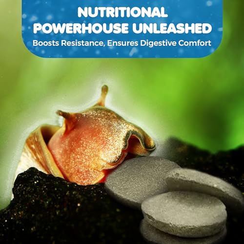 SunGrow Spirulina Protein Wafers for Shrimps, 1.75 oz Nutritional Snack, High-Protein Food for Freshwater Shrimp, Ideal for Betta Fish Supplies, Aquarium Salt Setups, Nano Tanks & Bottom Feeders