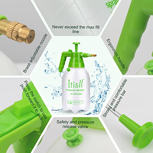 Itisll 0.5 Gallon Garden Pump Sprayer, Handheld Plant Mister with Adjustable Brass Nozzle for Plants, Lawn, Patio and Indoor Outdoor Use, White Green