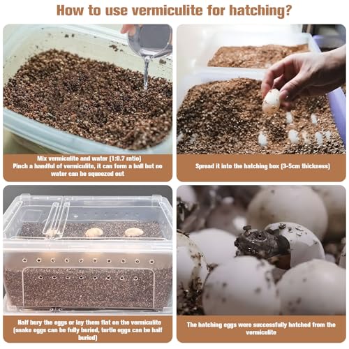 MAQIHAN Vermiculite for Reptiles - 14OZ Vermiculite Terrarium Reptiles Reptile Substrate Reptile Bedding Reptile Sand for Egg Incubator, Bearded, Gecko, Hermit, Snake, Tortoise, Turtle, Plants