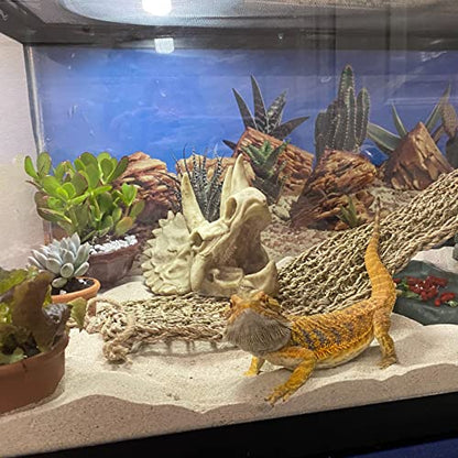 kathson Reptile Resin Dinosaur Skull Decoration Bearded Dragon Tank Triceratops Skeleton Accessories Vines Flexible Leaves Decor for Lizards Tortoises Snakes Frogs(3 PCS)
