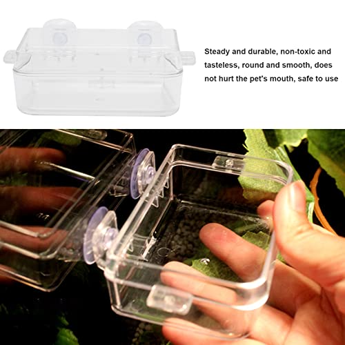 Hoypeyfiy 2Pcs Chameleon Feeding Bowl,Reptile Food Bowl,Water Dish Gecko Feeders for Lizard,Bearded Dragon,Snake