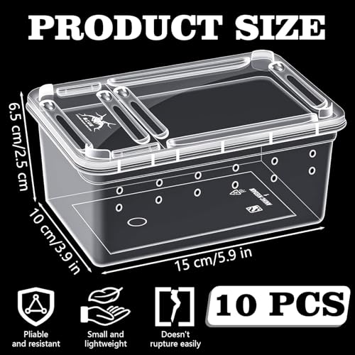 10Pcs Reptile Feeding Box, Transparent Animal Habitat Cage Spider Terrarium, Plastic Breeding Box for Reptile Turtle Spider Frog Scorpion Snake (5.9 x 3.9 x 2.5 in)