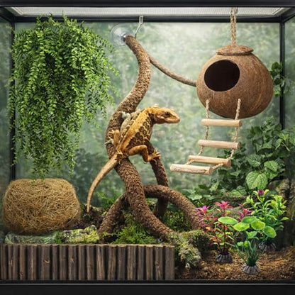 HERCOCCI Crested Gecko Tank Accessories, Reptile Hanging Plants Vines with Coconut Shell Ladder Hideout Hermit Crab Decor for Lizard, Chameleon Cage, Snakes, Hermit Crab, Leopard Gecko