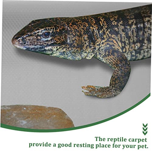 Reptile Carpet Terrarium Substrate Liner Large Bearded Dragon Bedding Snake Terrarium Accessories Eva Material Cut to Fit - color: White