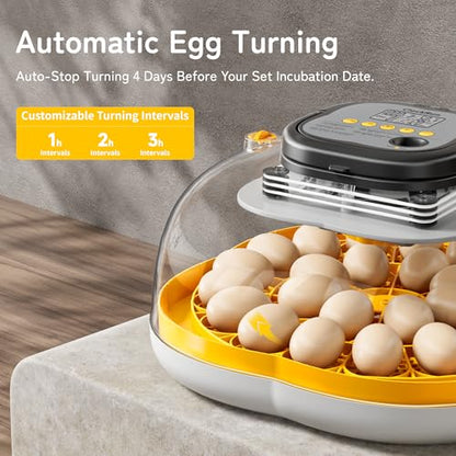 25 Egg Incubators for Hatching Eggs, Spacious Interior with Protective Wall, Top Handle, Automatic Egg Turning, Smart Lockdown Mode, Incubation Day, Auto Water Refill, for Chicken, Quail & Duck Eggs - size: 25 Eggs