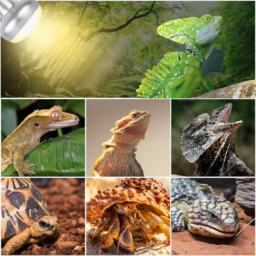 Reptile Dual Lamp Fixture Heat Lamp Bulb Combo Pack,100W UVA Daylight Reptile Heat Lamp and 100W Infrared Reptiles Heat Blub Basking Spot