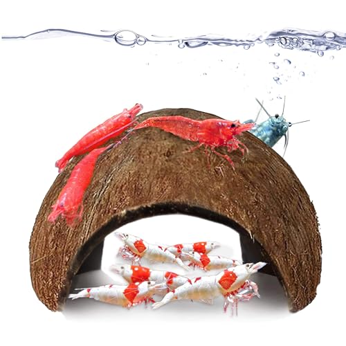 SunGrow Coconut Shrimp Cave for Fish Tanks, Small Tank Decorations & Accessories, Comfortable Shelter and Breeding Area for Crustaceans, Fish Hideout Decor for Spawning (2-Piece) - size: 2 Pieces