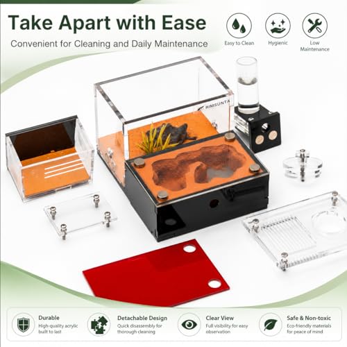 Terra Core Series S Ant Nest Starter Kit for Beginner Ant Keeping 5.9 x 4.52 x 3.54 in - size: Terra Core Series-S