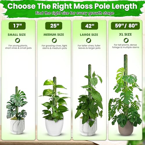 DUSPRO 4 Pack 25’’ Mesh Moss Pole for Climbing Plants, Natural Moss Pole Monstera Plant Support, Real Moss Poles for Plants Indoor, Moss Stick for House Plants, Moss Stakes for Climbing Plants - size: 25''