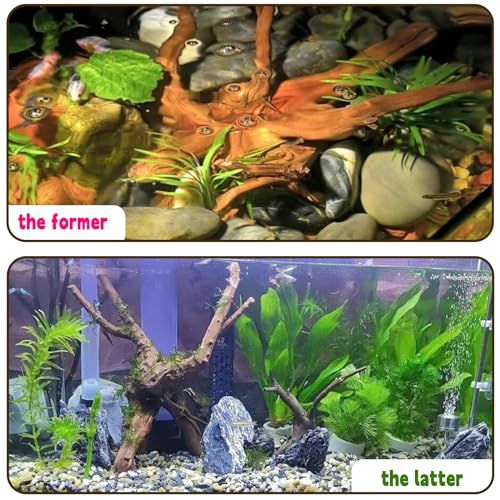 Hamiledyi 4PCS Driftwood for Aquarium 8-10in Natural Spider Wood Reptile Branches Fish Tank Log Ornament Aquarium Trunk Decoration - size: M:Spiderwood (8-10in 4PCS)