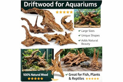 Azil Natural Driftwood 9''-12'' (2 Pieces) – Perfect Aquarium Decoration for Fish Tanks, Freshwater Aquariums, Terrariums, Aquascaping, Hardscaping, Aquatic Plants - size: driftwood 9'' - 12''